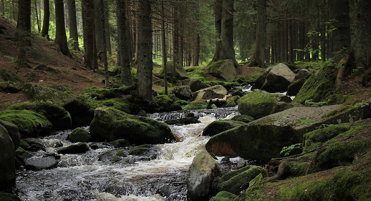 Tariff for long weekend (not only) in Czech mountains!