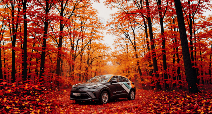 Where to Go This Autumn: Road Trips, Experiences & Relax